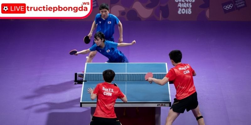 Luật cá cược bóng bàn người mới cần nắm rõ
