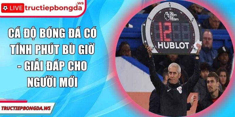 cá độ bóng đá có tính phút bù giờ