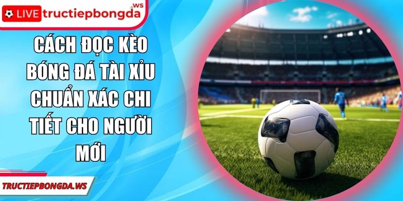 cách đọc kèo bóng đá tài xỉu