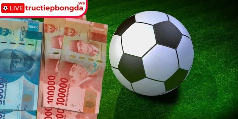 Mẹo áp dụng kiến thức cách ra kèo của nhà cái