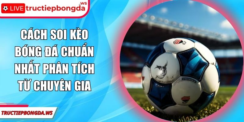 cách soi kèo bóng đá chuẩn nhất
