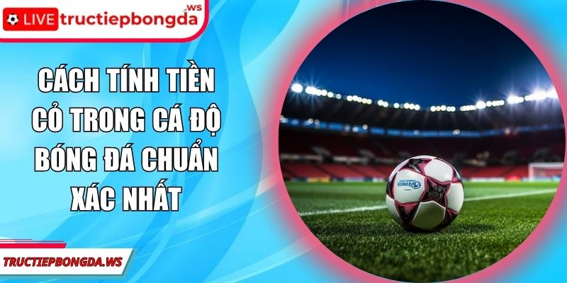 cách tính tiền cỏ trong cá độ bóng đá
