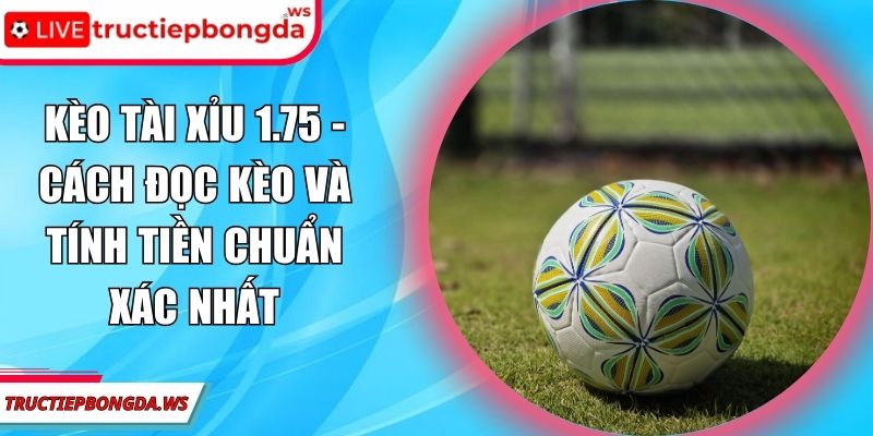 Kèo tài xỉu 1.75