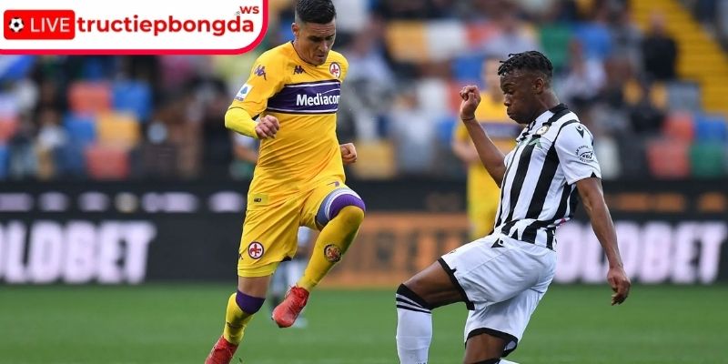 Thông tin lực lượng Fiorentina vs Udinese, 00:00 22/12 (Serie A)