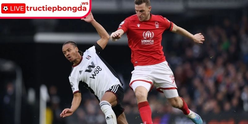Thông tin lực lượng Fulham vs Nottingham Forest, 03:00 23/12 (Premier League)