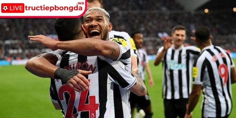 Phong độ Newcastle
